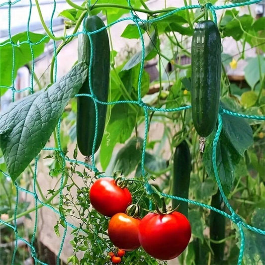 Plant Climbing Net